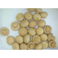 Canned whole button mushroom 400g
